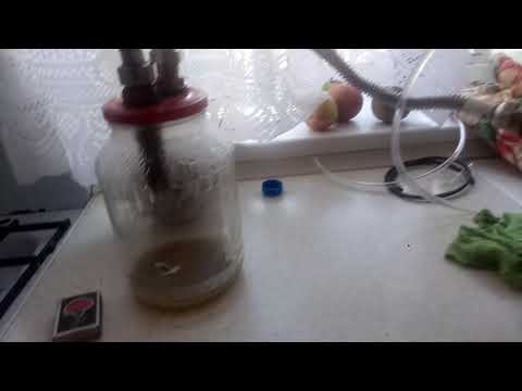 Видео: Самогон брага абрикотин.  Скисла или не скисла..