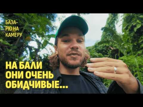 Видео: вот за такую фигню депортируют с Бали