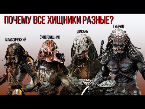 Видео: ПОЧЕМУ ВСЕ ХИЩНИКИ РАЗНЫЕ | ПОРОДЫ | ВИДЫ | ГИБРИДИЗАЦИЯ