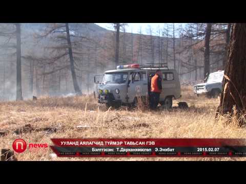 Видео: Ууланд аялагчид түймэр тавьсан гэв