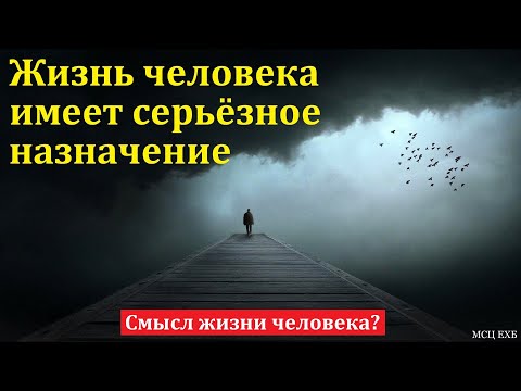 Видео: Смысл жизни человека? Зачем я живу на этой земле? А. Г. Варкентин. МСЦ ЕХБ