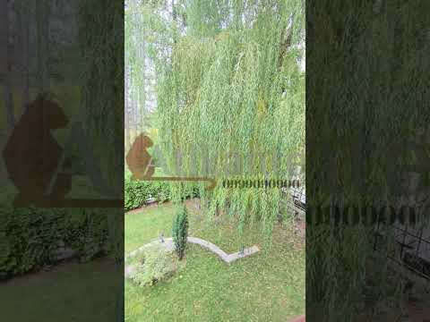 Видео: Атиканте Естейтс представя луксозна фамилна къща в Банкя