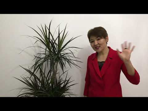 Видео: "Әр түрлі ағзалар түрлерінің хромосомалар саны.  Соматикалық және жыныс жасушалары"  7 класс