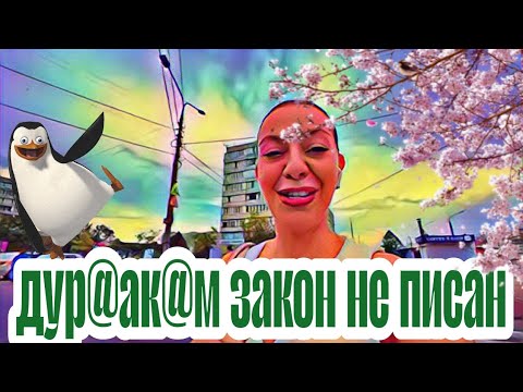 Видео: Диана ВонХ намалевалась,как....разведенка.Опять ходила напитываться человеческим горем.