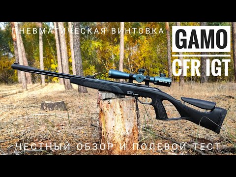 Видео: Gamo CFR Whisper IGT. Пневматическая винтовка с ГП. Честный обзор и оценки.