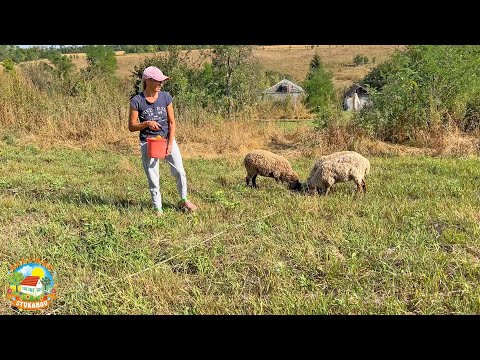 Видео: ОДИН день из жизни в ДЕРЕВНЕ, управляемся по-хозяйству