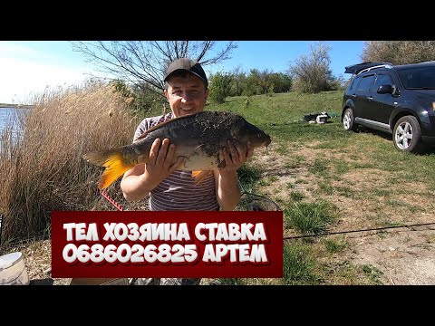 Видео: новый ставок Зоря в Николаевской обл