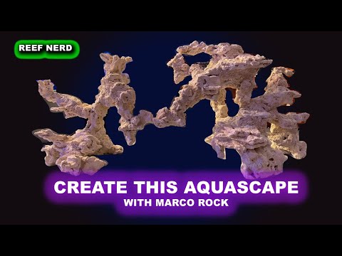 Видео: Как создать акваскейп с Marco Rock — руководство по созданию удивительной каменной структуры в не...