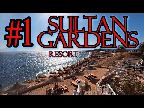 Видео: Отдых в Египте / Sultan Gardens Resort 5* / #1