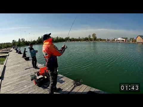 Видео: Как поймать пассивную форель на воблер? Rodio Craft Moca DR