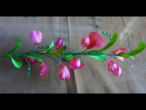 Видео: Душистый горошек полевой. Интерьерный цветок