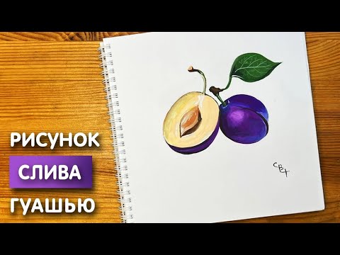 Видео: Как нарисовать сливу карандашом и гуашью для детей | Рисунок поэтапно для срисовки