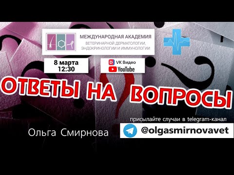 Видео: Ответы на вопросы. Выпуск от 8.03.2025