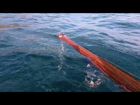 Видео: Подводная охота на горбыля.