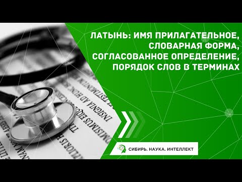 Видео: Латынь: Имя прилагательное, словарная форма,  согласованное определение, порядок слов в терминах