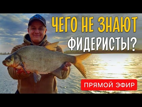 Видео: ЧЕГО НЕ ЗНАЮТ ФИДЕРИСТЫ? Ответы на часто задаваемые вопросы по фидерной рыбалке. Прямой эфир.