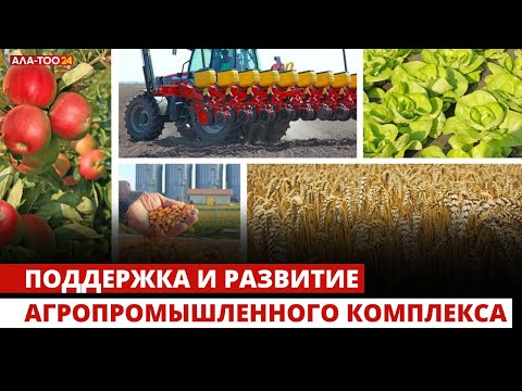 Видео: Поддержка и развитие агропромышленного комплекса