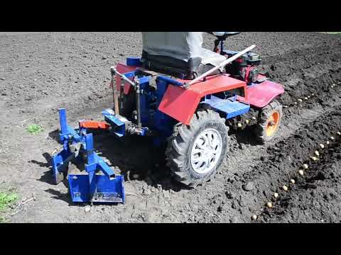 Видео: Посадка картошки самодельным минитрактором, 2021.