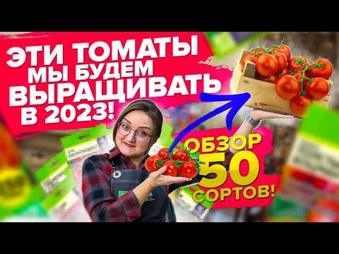 Видео: НАШИ ТОМАТЫ НА 2023! Это сорта будем сеять на рассаду! Топ томатов от Семена Алтая