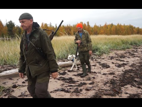 Видео: В поисках медведя часть1.