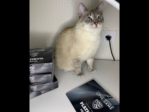 Видео: Кейс брейк #1 SeReal Карточки КХЛ 2021-2022 Platinum, фасовка 16*