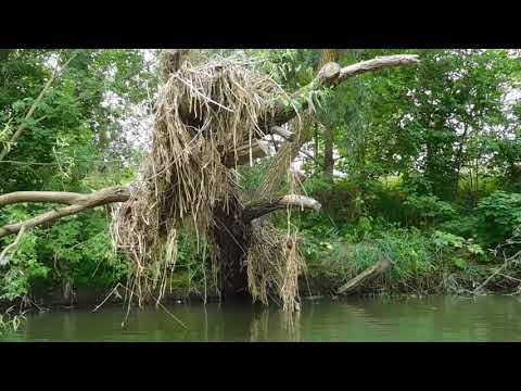 Видео: Сплав по Свияге от Ульяновска до Ишеевки