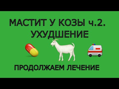 Видео: Мастит у Козы ч.2.  Симптомы, Лечение