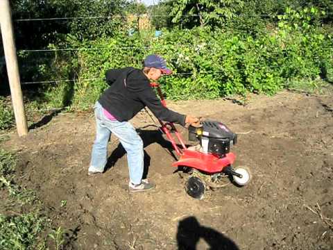 Видео: мотокультиватор MTD 245