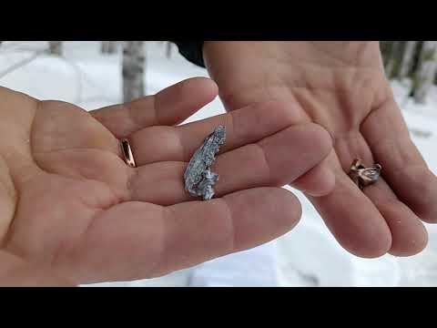 Видео: Отстрел новых патронов от компании Техкрим по бумаге на раскрываемость-2