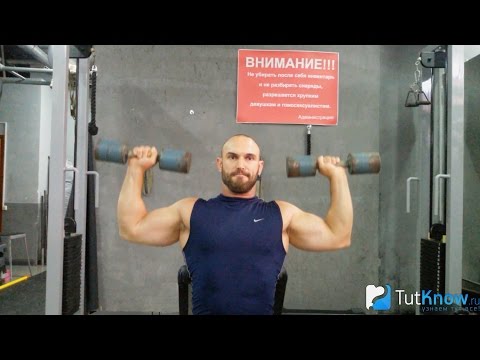 Видео: Жим гантелей сидя: техника упражнения и советы
