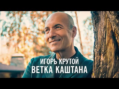 Видео: Игорь Крутой - Ветка каштана (официальное видео)