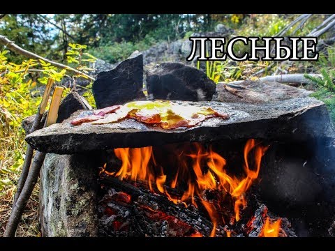 Видео: Дикая кухня - КАМЕННАЯ ПЕЧЬ | Bushcraft Stone Kitchen