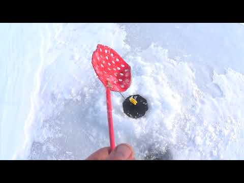 Видео: РЫБАЛКА НА  РЕКЕ ЧУЛЫМ.  СНЕГОХОД ОПЯТЬ СЛОМАЛСЯ.!!!!!