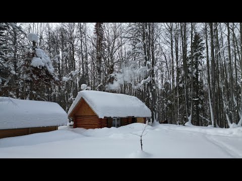 Видео: ЗАМЕЛО ПО ОКНО! ВЕРНУЛСЯ В ЛЕСНУЮ ИЗБУ СПУСТЯ 2 МЕСЯЦА. ГОТОВИМ В КИРПИЧНОЙ ПЕЧИ