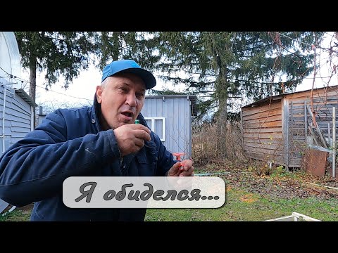 Видео: Я обиделся