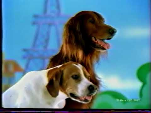 Видео: Рекламный блок (Первый канал, 04.07.2003)
