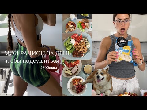 Видео: Что я ем & красивые и вкусные тарелки, моя кухонная техника, тренировка