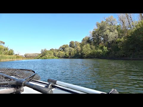 Видео: НЕ ЗРЯ ОСТАЛСЯ РЫБАЧИТЬ ДО ПОЗДНЕГО ВЕЧЕРА! НАЛОВИЛ ЩУК И ВСТРЕТИЛ ЛЕСНОГО ЗВЕРЯ! Рыбалка 2024.