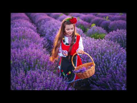 Видео: Георги Жбантов  - Македонско сърце