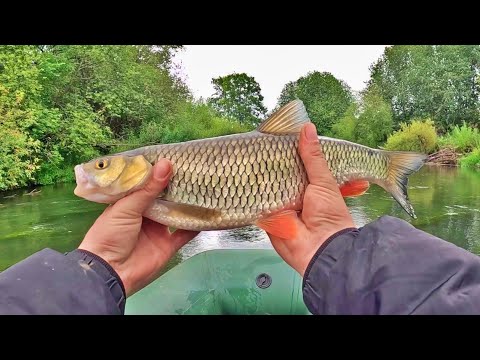 Видео: СПЛАВ по очень красивой реке