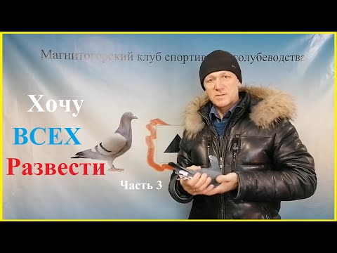 Видео: ХОЧУ ВСЕХ РАЗВЕСТИ часть 3