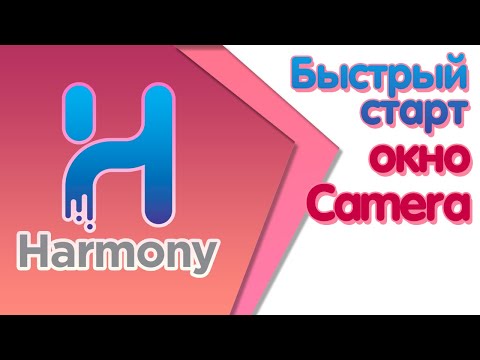 Видео: Быстрый старт в Toon Boom Harmony - Окно Camera