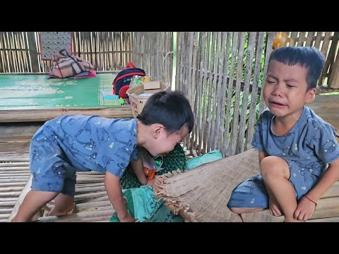 Видео: Дом был не прочным, поэтому мальчик-слон поскользнулся и получил травму.