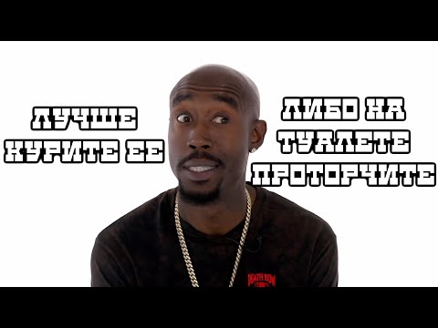 Видео: Freddie Gibbs против еды с травкой, широких джинс, скорпионов | Pitchfork на русском |
