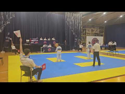 Видео: Первенство Московской области по киокушин. Ката девочки 10 лет.