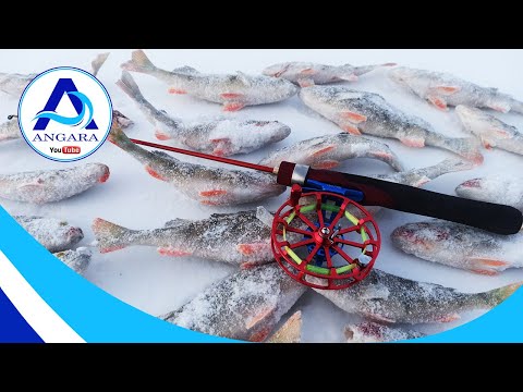Видео: Зимняя рыбалка в мороз. Ловля окуня на ратлины. Рыбалка в Сибири.