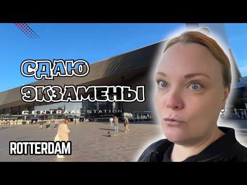 Видео: Экзамены, стресc и цены на еду — конец года добивает!