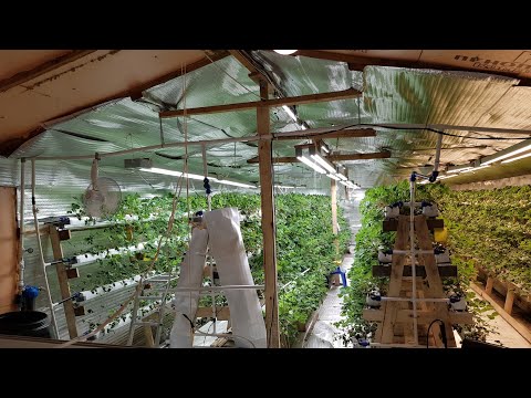 Видео: // ОТКАЗАЛСЯ ОТ ДНАТ, ТЕПЕРЬ ТОЛЬКО СВЕТОДИОДНЫЕ СВЕТИЛЬНИКИ //