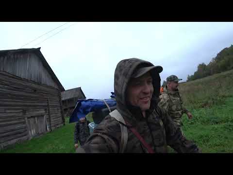 Видео: поход в грибной рай,