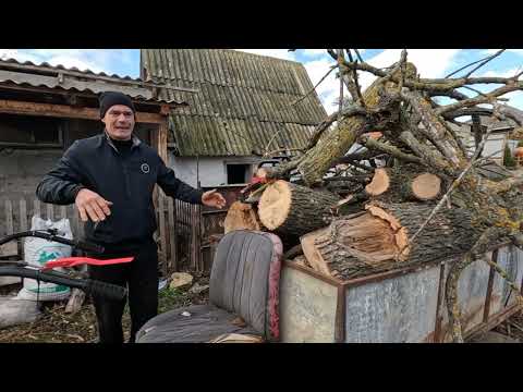 Видео: Тигр на трасі.  Дармові дрова - ВАРТІСТЬ НУЛЬ. Найекономніша пила серед усіх -Vitals Master EKZ 2440